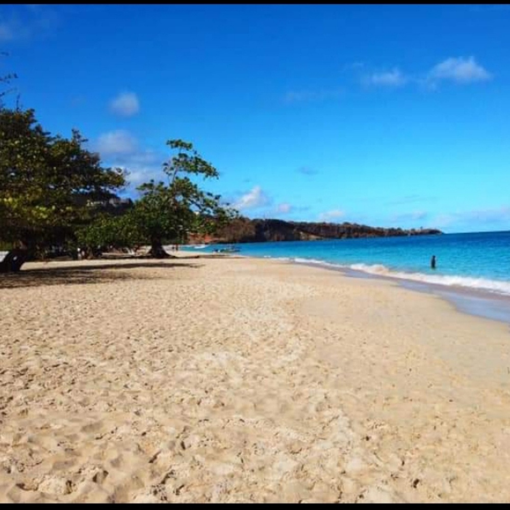 Homb - Picture 3 of 3